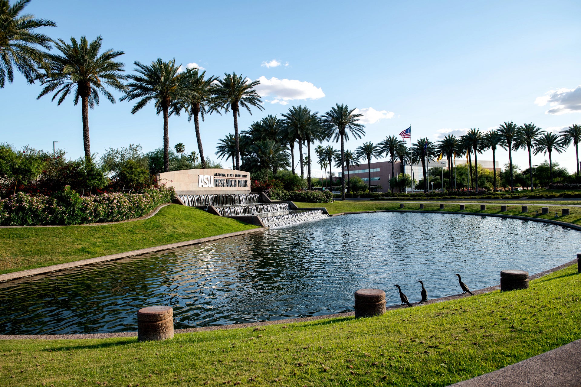 Image of the pond and palm trees in front of the ASU Research Park