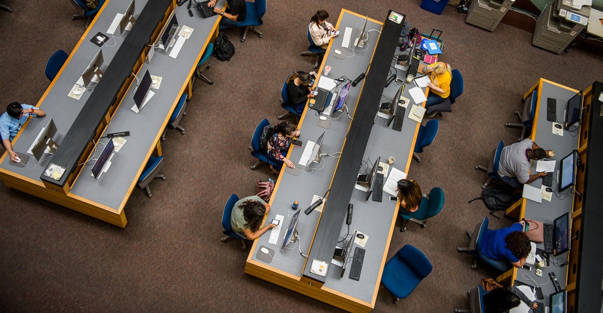 students studying in the campus library