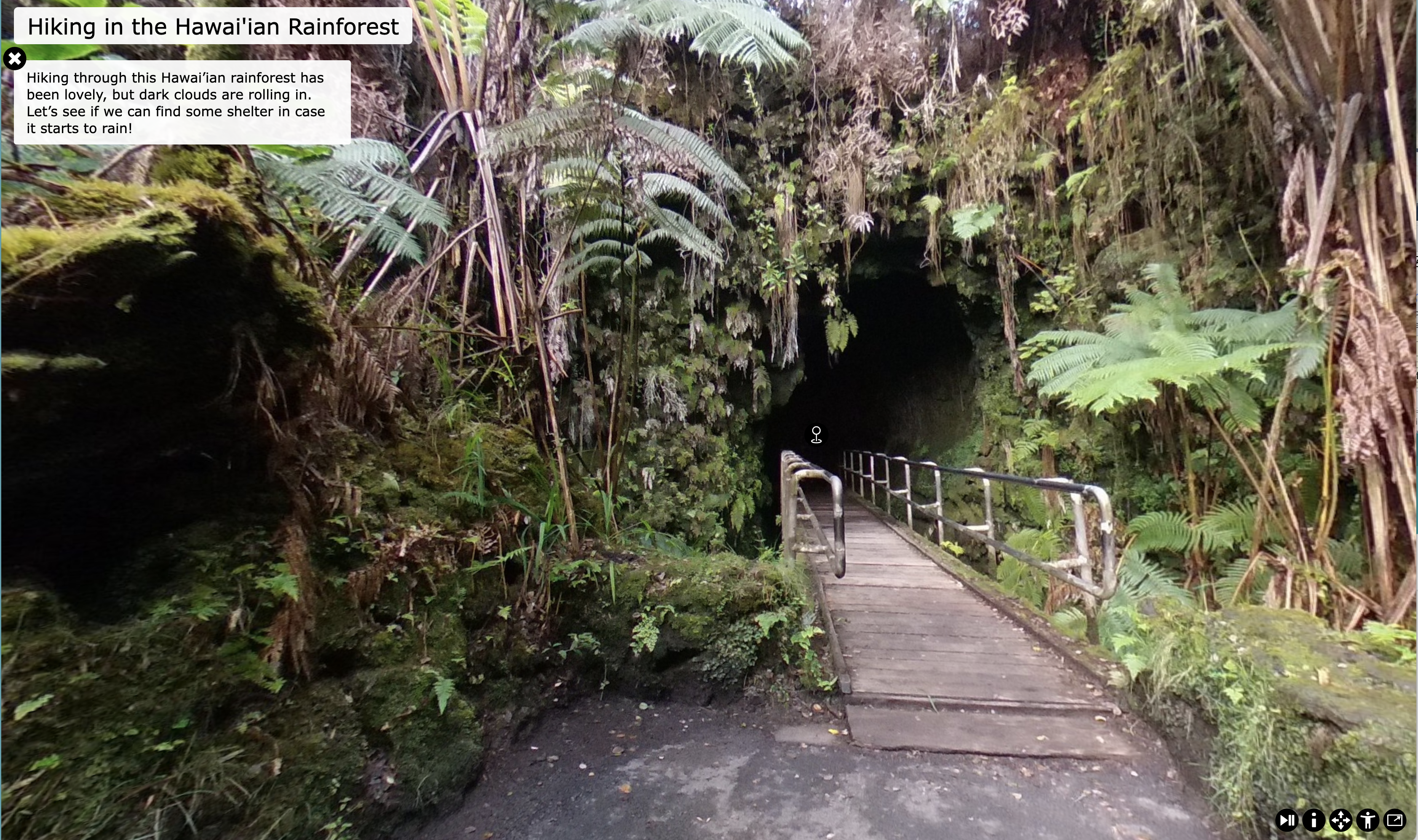 Course participants learn to design virtual fields trips like this one of hiking in the Hawai'ian ranforest.
