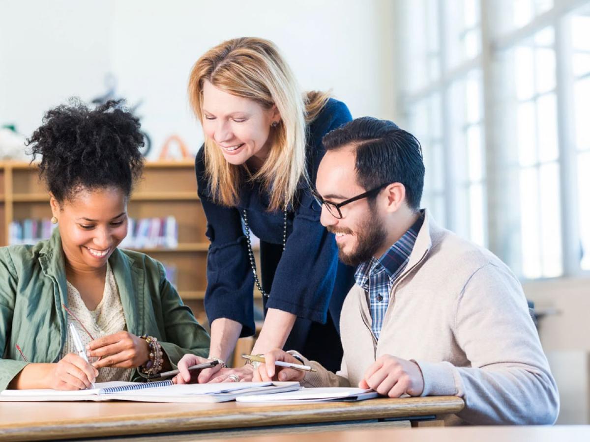 professional educators working on a project